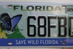 564784529_IMG_6434