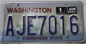 AJE7016 Pair - Washington - 2024