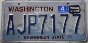 AJP7177 Pair - Washington - 2024