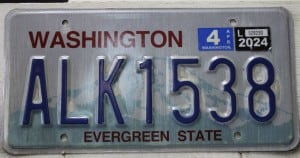 ALK1538 Pair - Washington - 2024