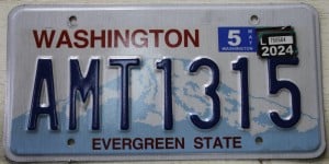 AMT1315 Pair - Washington - 2024