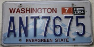 ANT7675 Pair - Washington - 2024