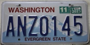 ANZ0145 Pair - Washington - 2023