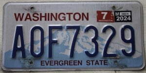 AOF7329 Pair - Washington - 2024