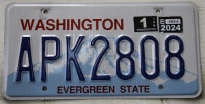APK2808 Pair - Washington - 2024