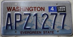 APZ1277 Pair - Washington - 2024