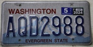 AQD2988 Pair - Washington - 2024