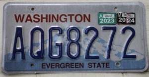 AQG8272 Pair - Washington - 2024
