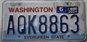 AQK8863 Pair - Washington - 2024