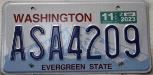 ASA4209 Pair - Washington - 2023