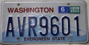 AVR9601 Pair - Washington - 2023