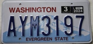 AYM3197 Pair - Washington - 2024