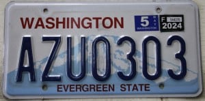 AZU0303 Pair - Washington - 2024