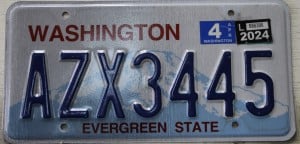 AZX3445 Pair - Washington - 2024