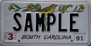 SAMPLE - South Carolina - 1991