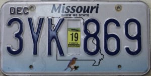 3YK 869 Pair - Missouri - 2019
