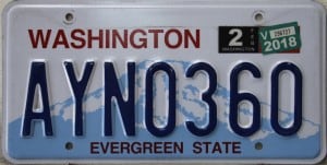 AYN 0360 Pair - Washington - 2018