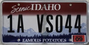 1A VS044 Pair - Idaho - 2009