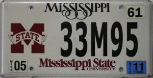 33M95 - Mississippi - 2011